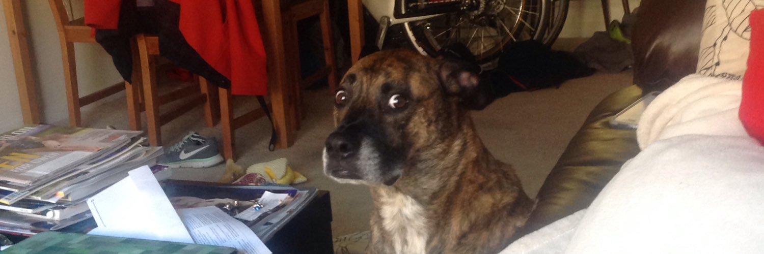 franktank45's profile banner image