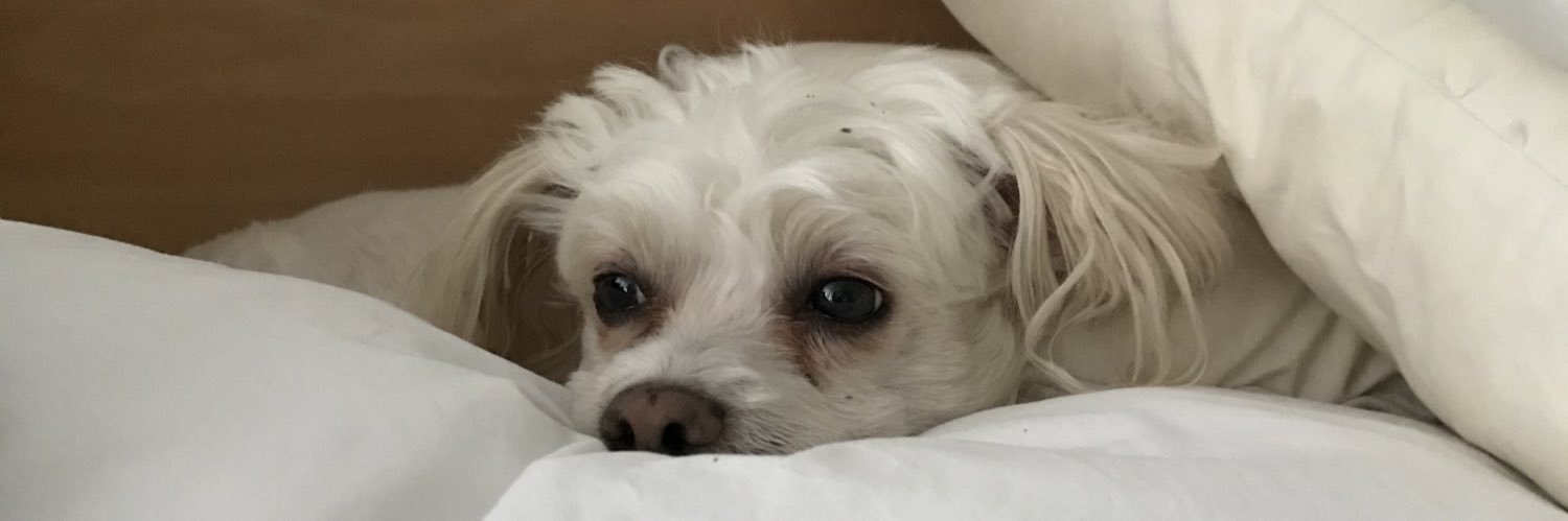 JessicaSch24's profile banner image