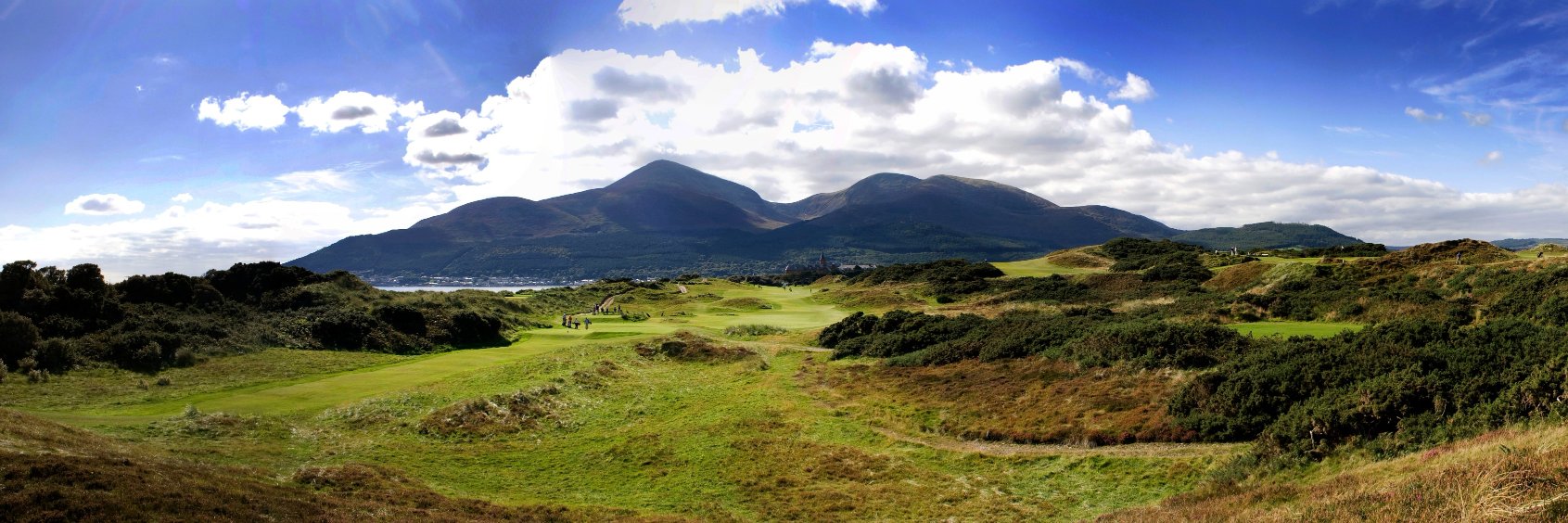Stephen Andrews banner