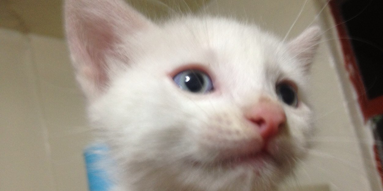FIKvirlo's profile banner image