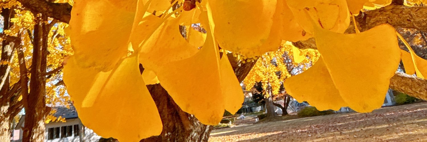odyk_ms0's profile banner image