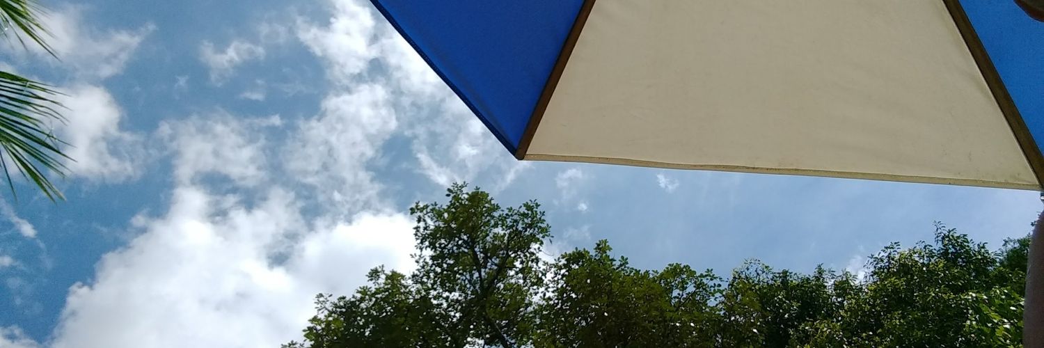 baptistamari_'s profile banner image