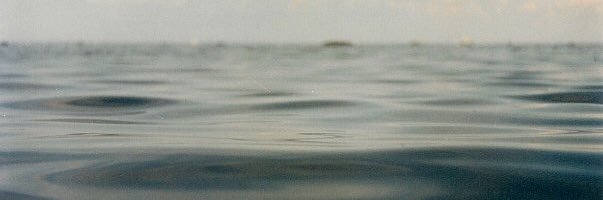julbarsus's profile banner image