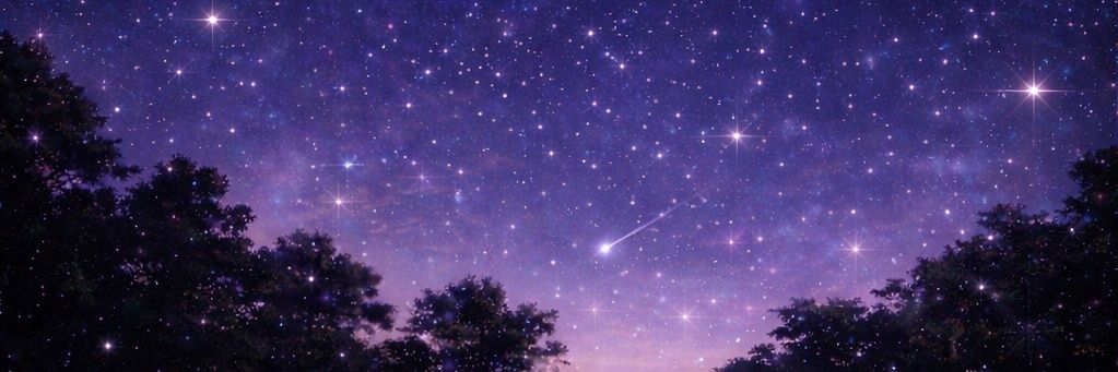 ⋆˚ 𝜗彩猫【ｱﾔﾆｬﾝ】₍˄·͈༝·͈˄₎◞︎ෆ⃛̑̑ෆ⃛𝜚˚⋆ banner