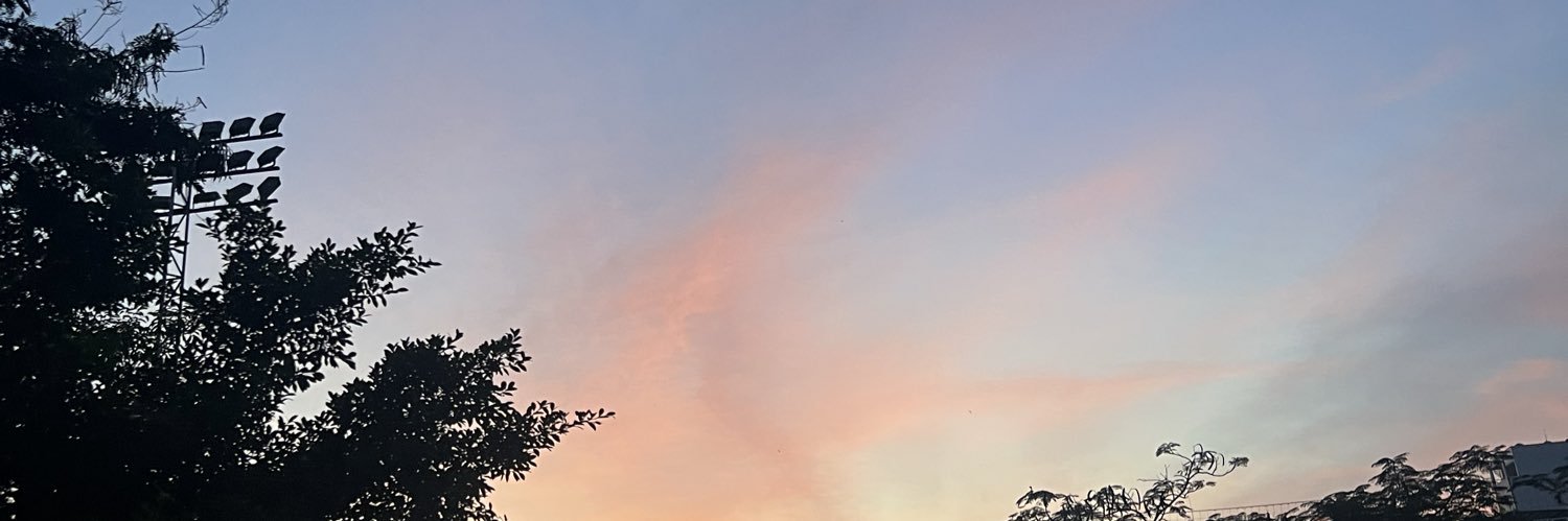 leizhv's profile banner image