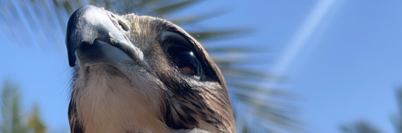 ♡ banner