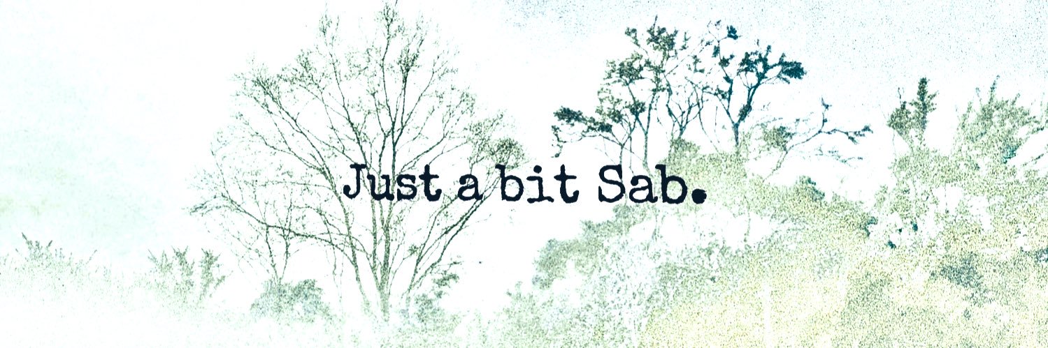 Sabrina banner
