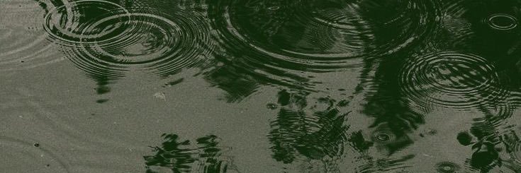 alecto banner