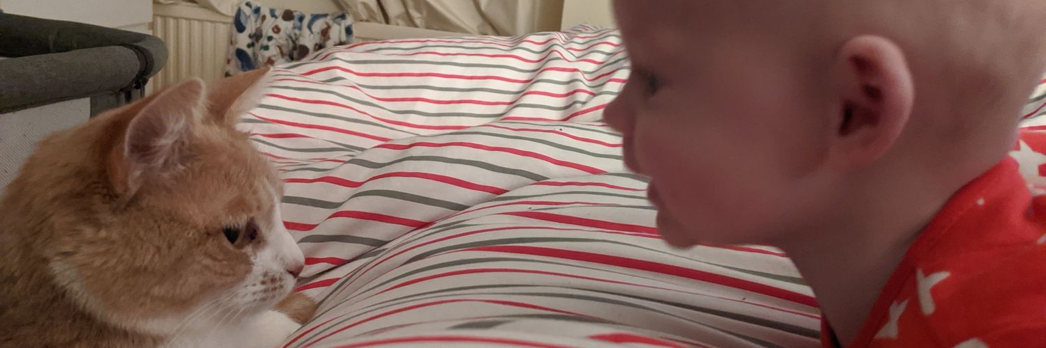 Lauren O'Boyle banner