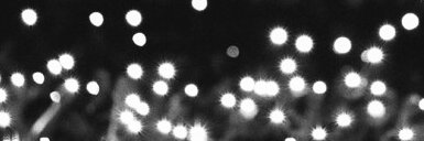 🎧🖤 banner