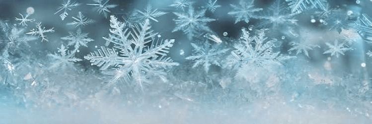 cryospop's profile banner image