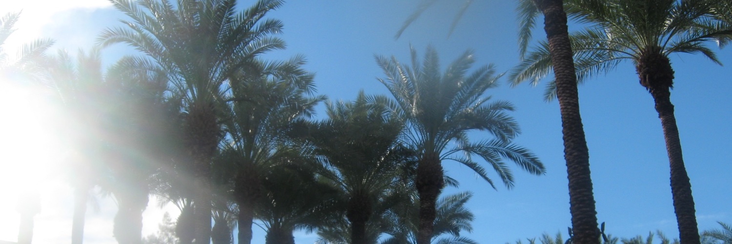 cullen is attending lollapalooza (again) banner