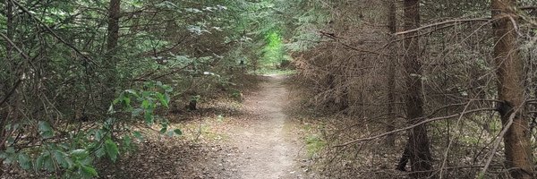 Zebedii Profile Banner