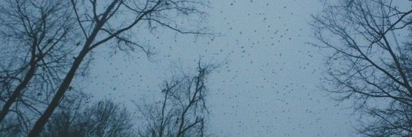 bleedlex Profile Banner