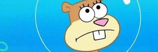 Sandy cheeks banner
