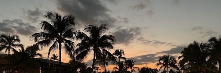 𝚉𝚊𝚢𝟸𝙱𝚞𝚛𝚗𝚝༈༈ banner
