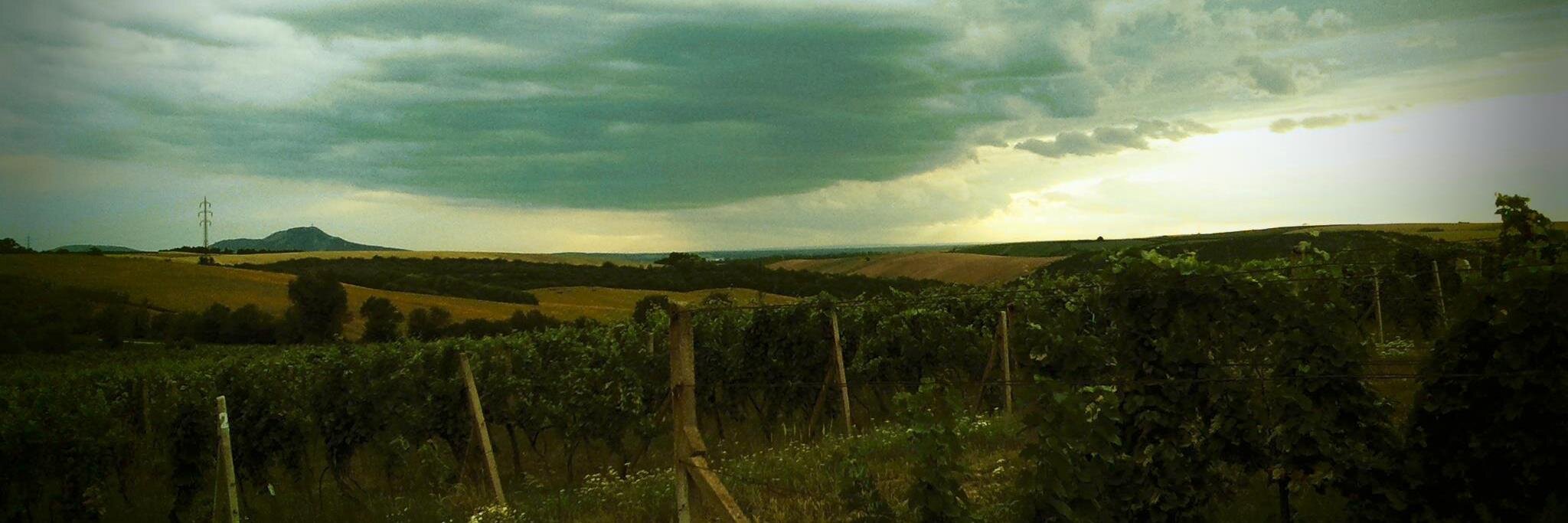 Tony kVíteček banner