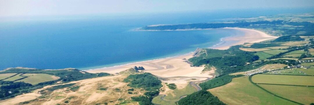 Steve Williams banner