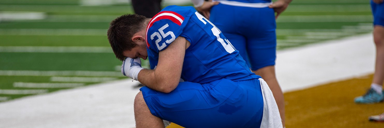 Gabriel Richard banner