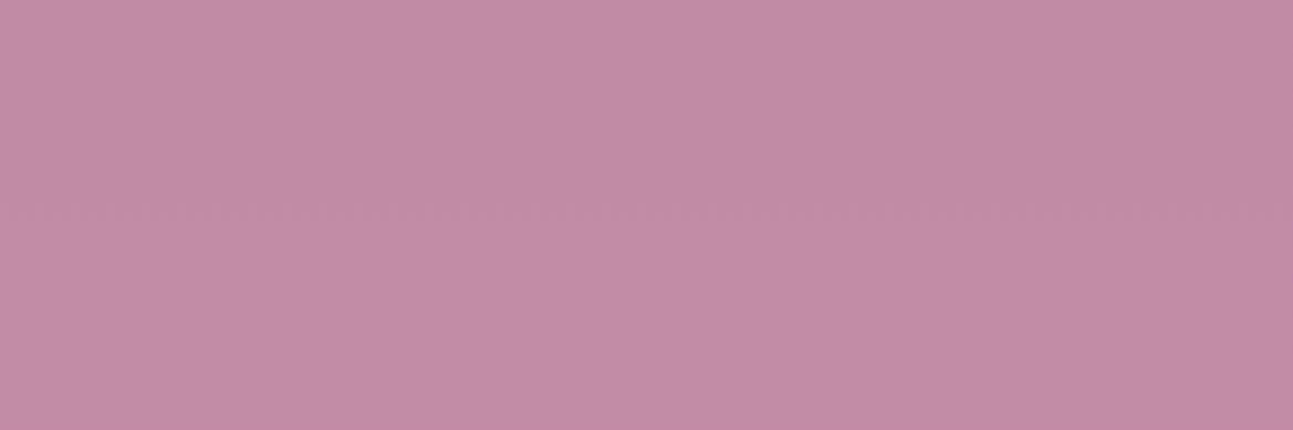 🐱すけ banner