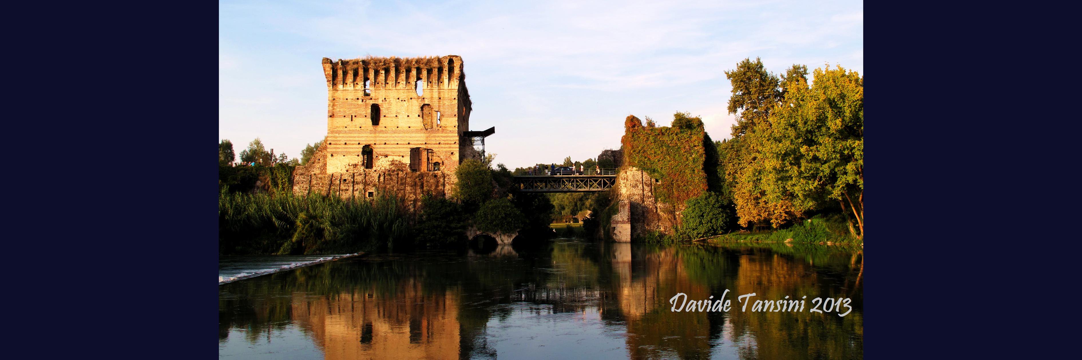 Davide Tansini banner