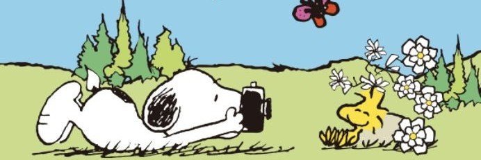 13LUzzer's profile banner image