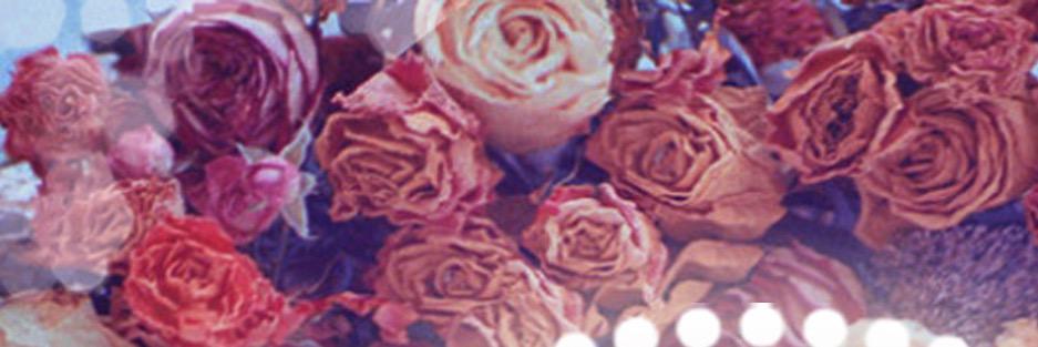 emileeboyce's profile banner image