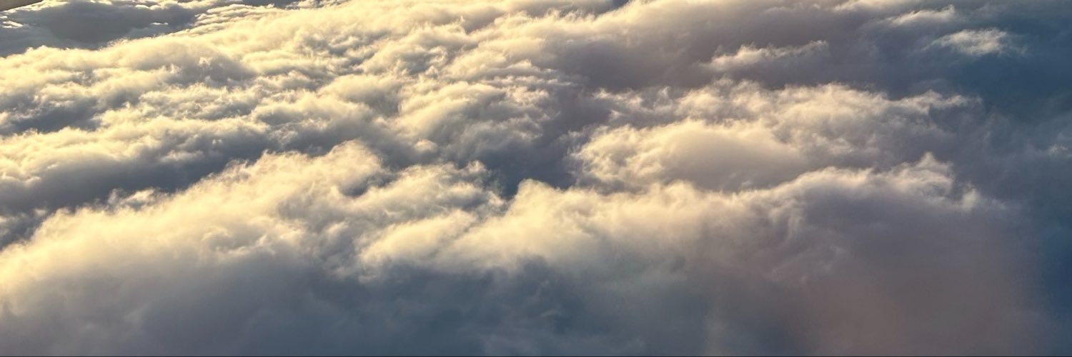 watashigamaouda's profile banner image