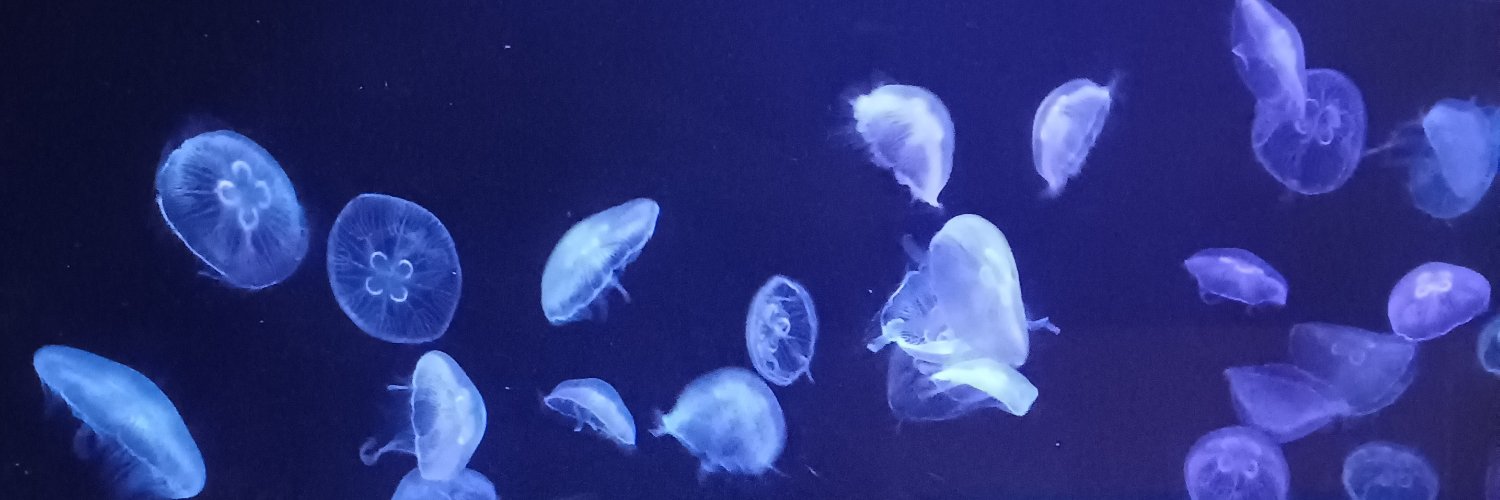 1owspec's profile banner image