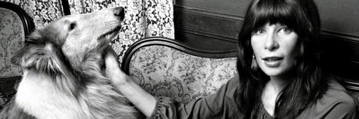 rbmarqs's profile banner image