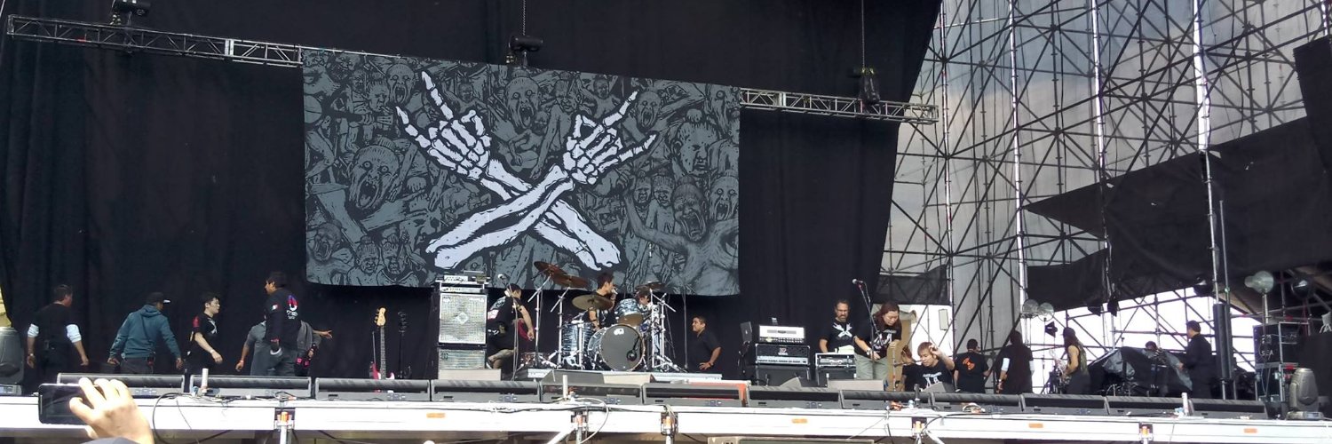 boleda banner