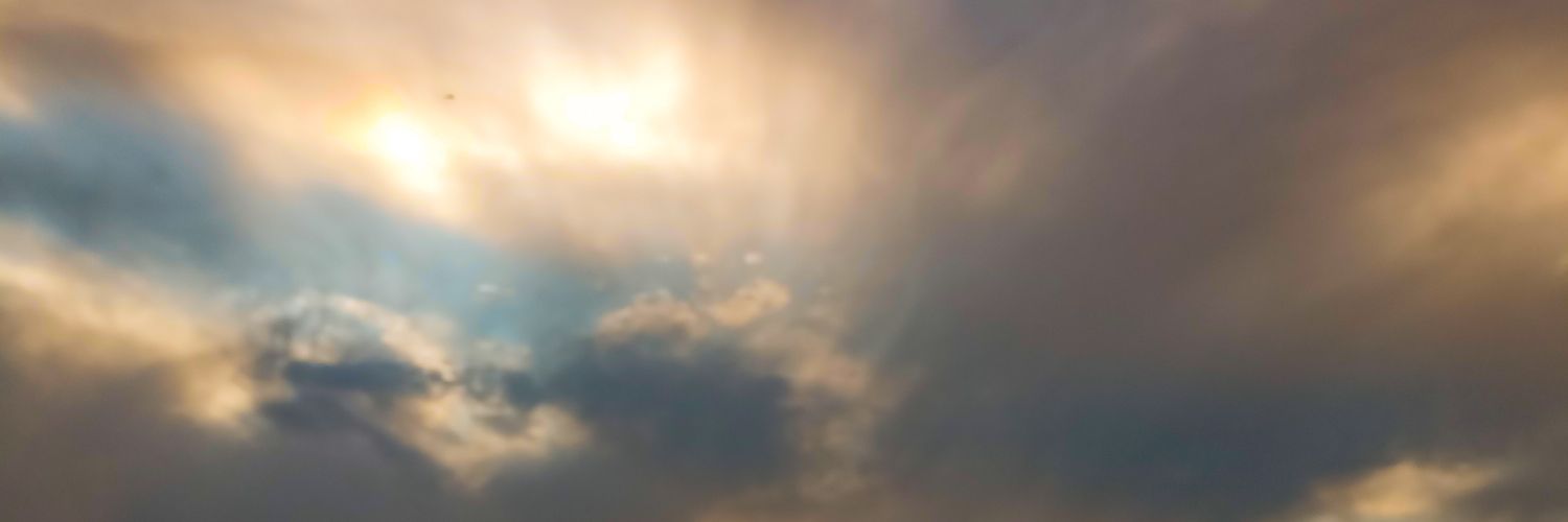 vickygindro's profile banner image