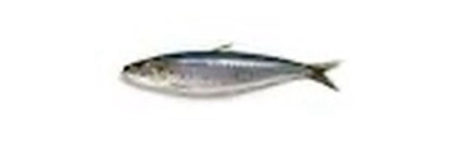 ttesselate banner