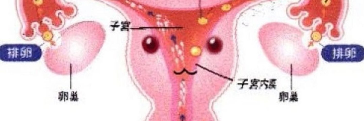 hysterical female banner