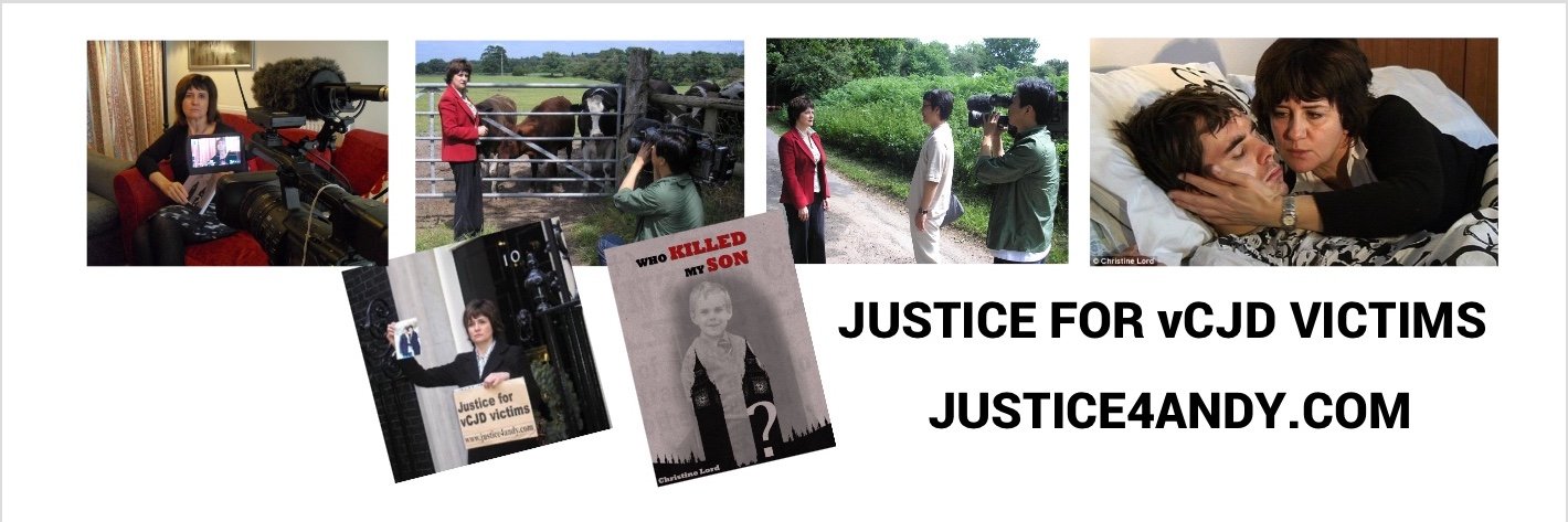 christinelord banner