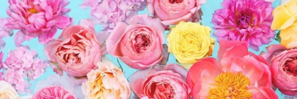 Isab_mty's profile banner image