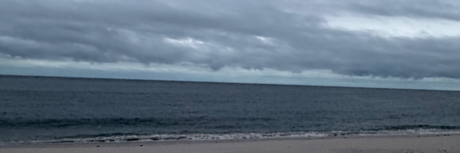 ERIK IS SEEING ARIANA 7.12 banner