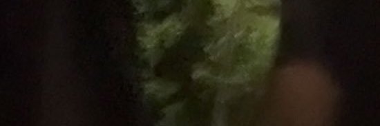 S banner