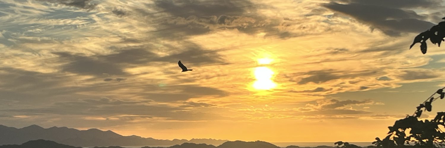 ⋆˙⟡ 𝙆𝙚𝙣𝙙𝙧𝙞 .ೃ࿔*:･ banner