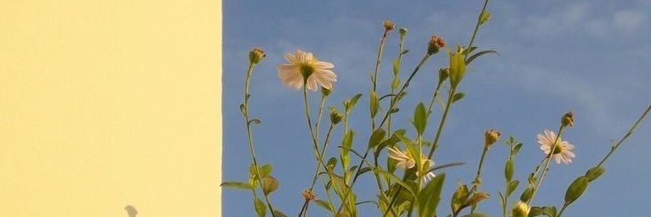 emw☺︎🎀0m banner