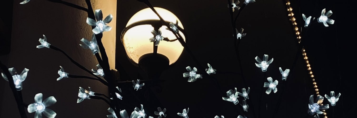 MariaZamudio95's profile banner image