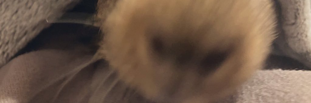 だぁぁぁん banner