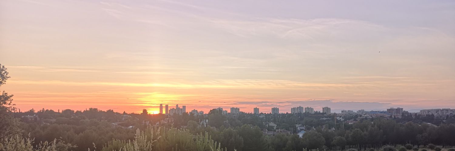 Nachoroz's profile banner image