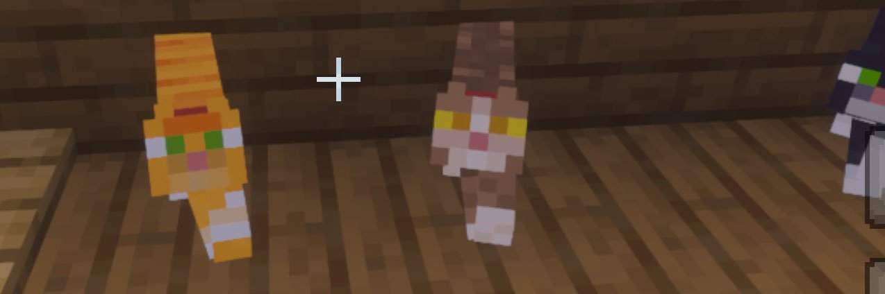 mongwa00gye's profile banner image