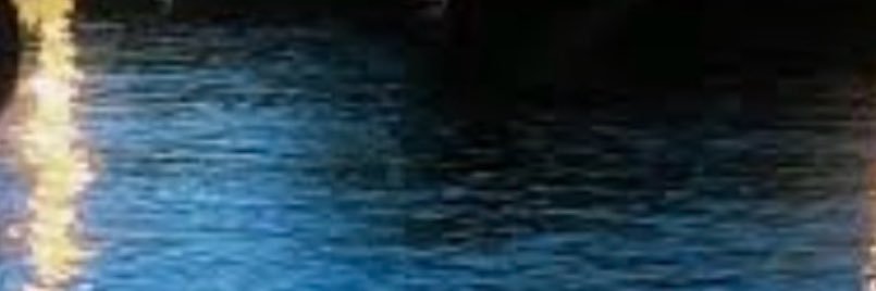  ︎︎ ︎︎ ︎︎ ︎︎虚言癖 banner