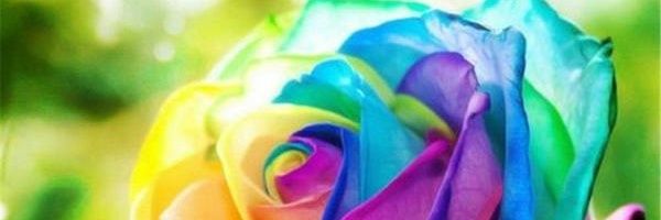 costa_katherine's profile banner image