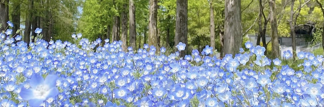 Rinka🌸在宅ワーク banner
