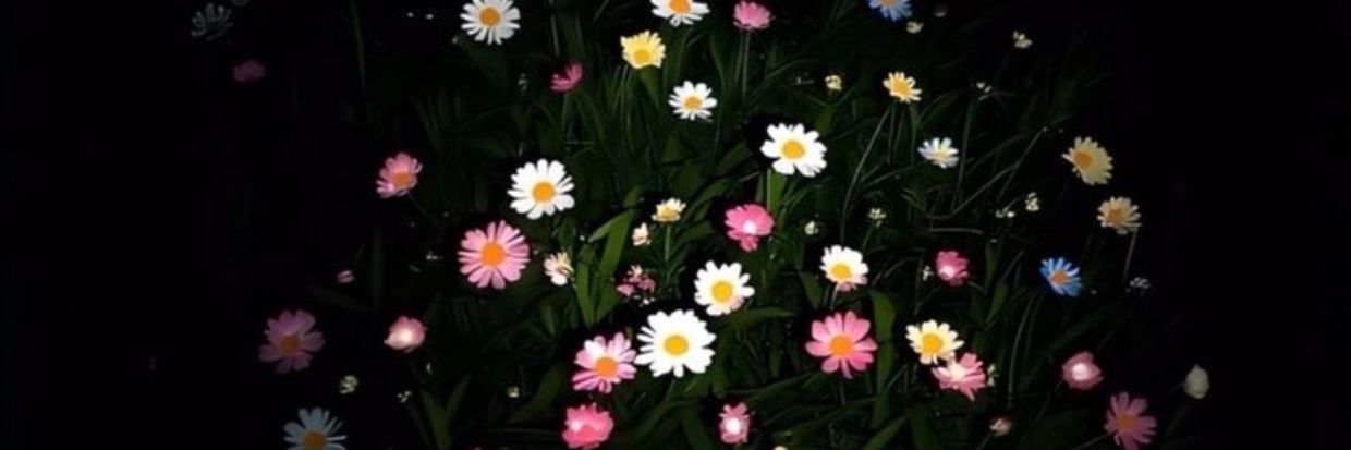 🌷 banner