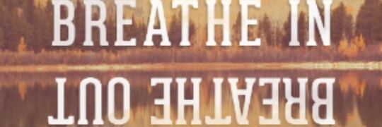 boo_bear95's profile banner image