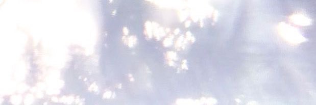 모리/나무여친 banner